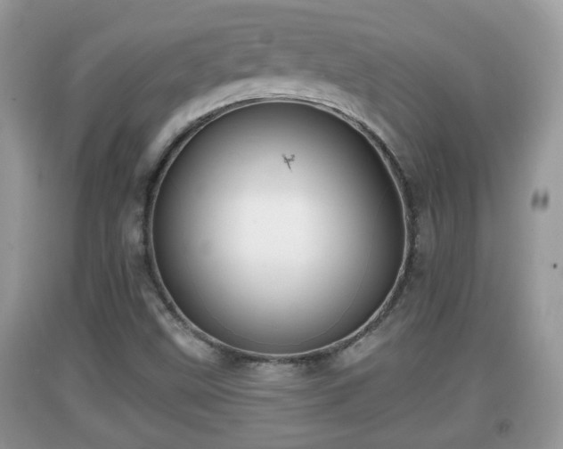 X0000091971499200709131327