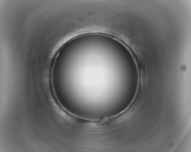 X0000091971500200709131327