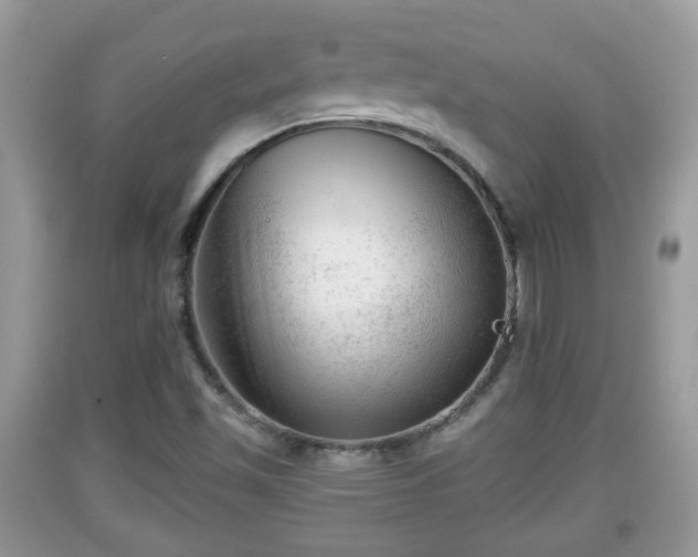 X0000091971501200709131327