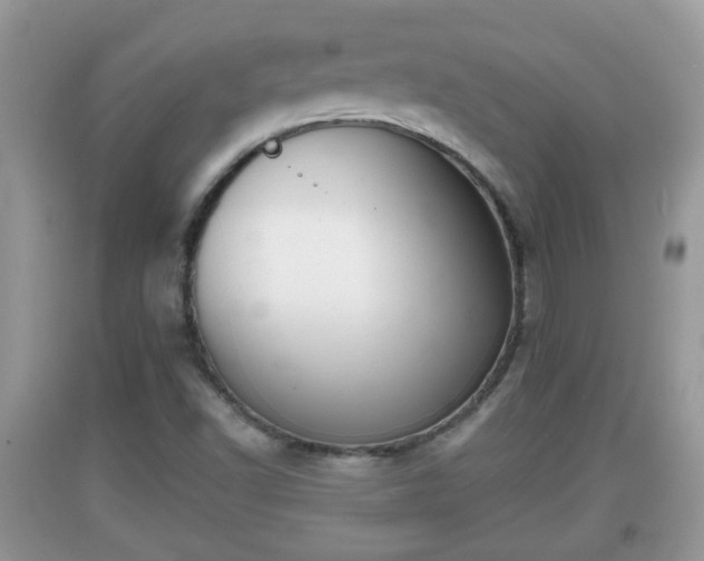X0000091971502200709131327