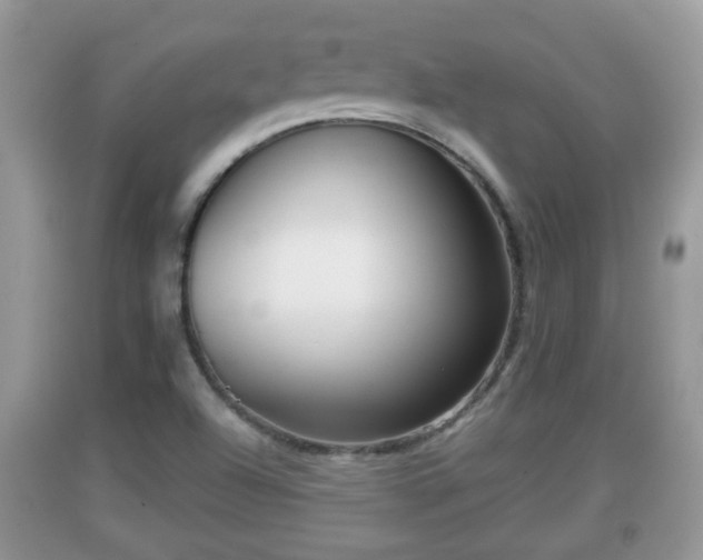 X0000091971504200709131327