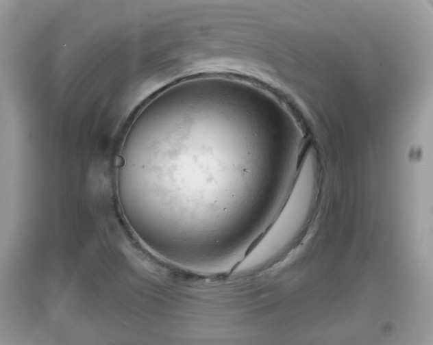 X0000091971505200709131327