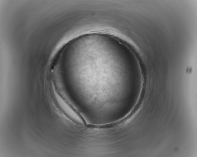 X0000091971506200709131327