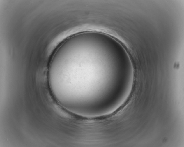 X0000091971507200709131327
