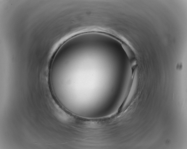 X0000091971508200709131327