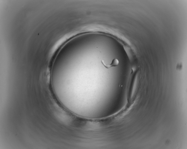 X0000091971509200709131327