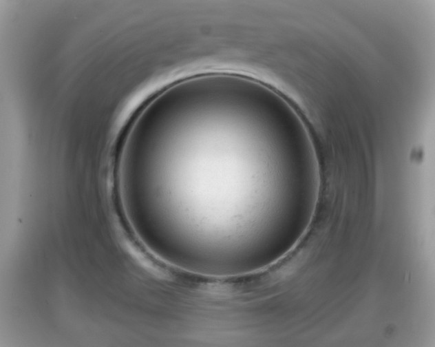 X0000091971511200709131327