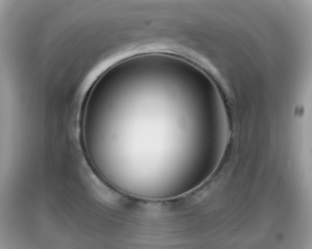 X0000091971512200709131327