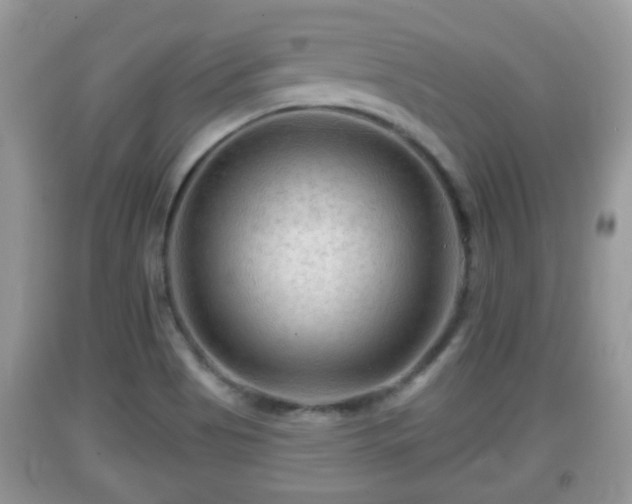 X0000091971513200709131327