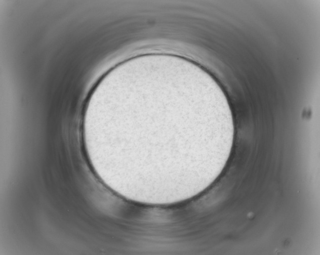X0000091971514200709131327