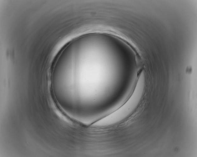 X0000091971515200709131327