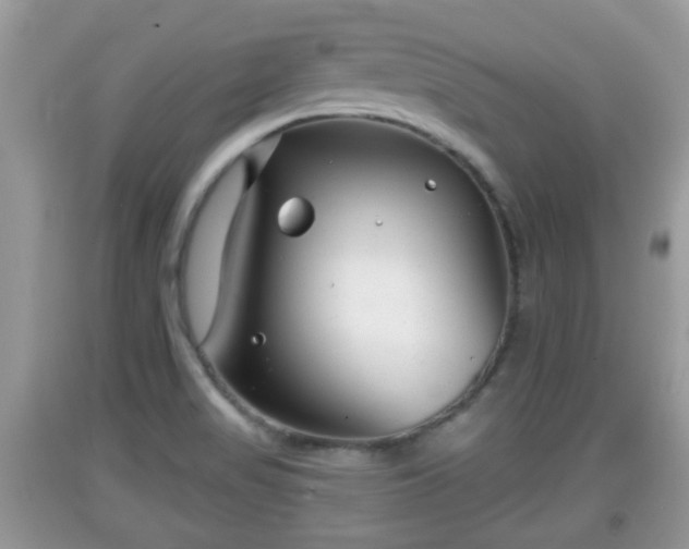 X0000091971517200709131327