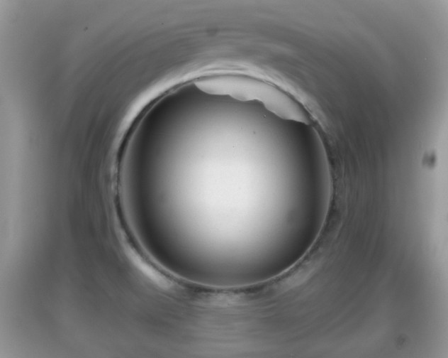 X0000091971519200709131327