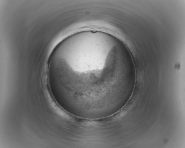 X0000091971522200709131327