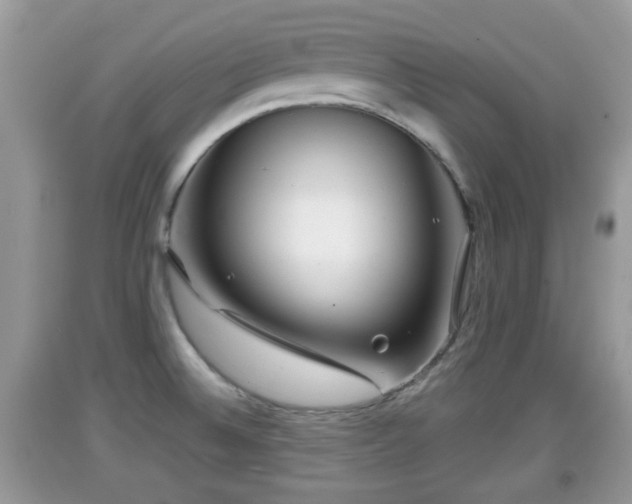 X0000091971524200709131327