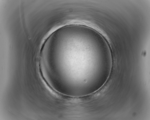 X0000091971525200709131327
