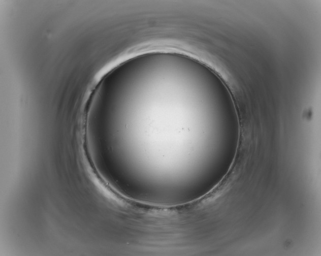 X0000091971526200709131327