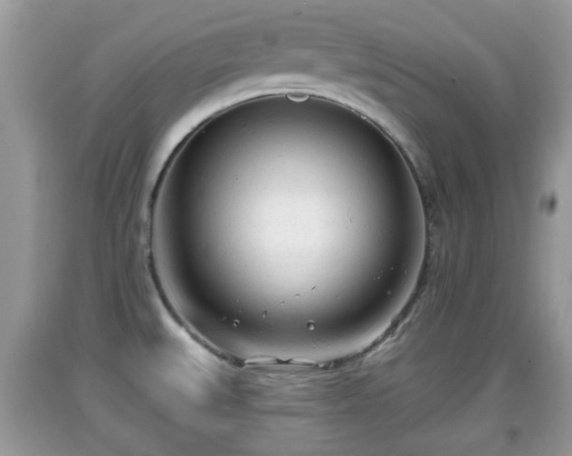 X0000091971527200709131327