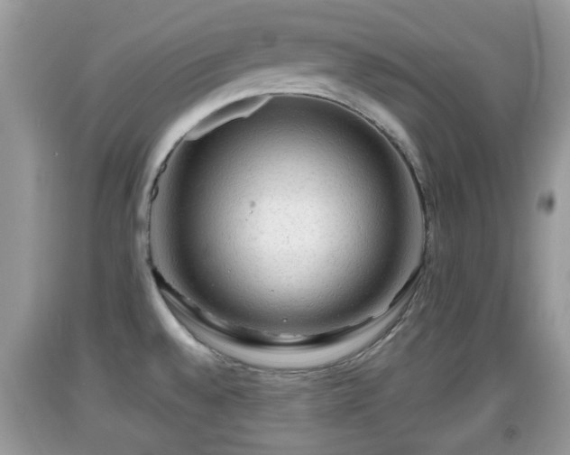 X0000091971528200709131327