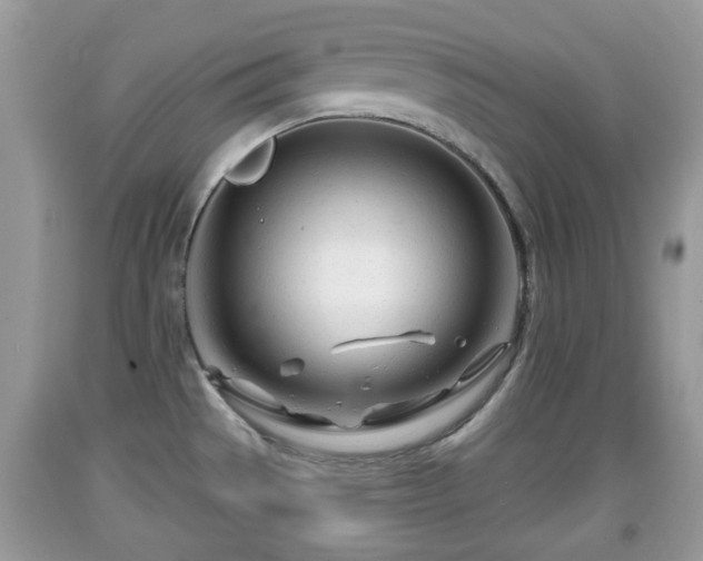 X0000091971529200709131327