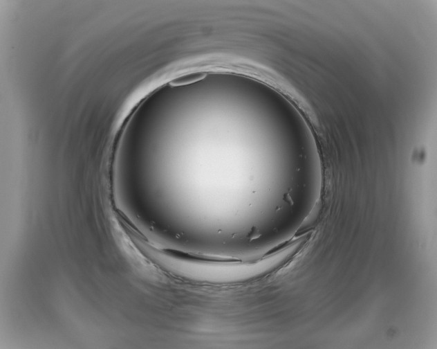X0000091971530200709131327