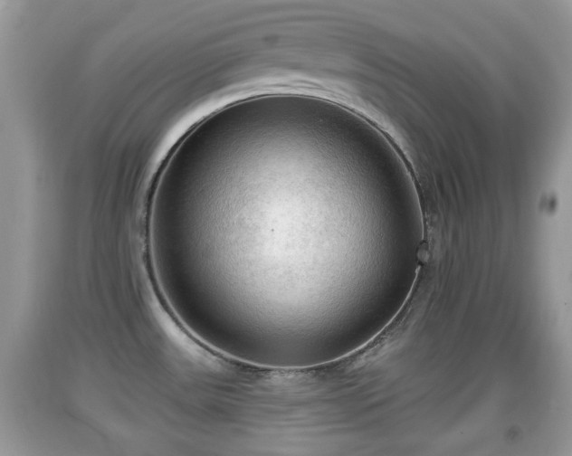 X0000091971531200709131327