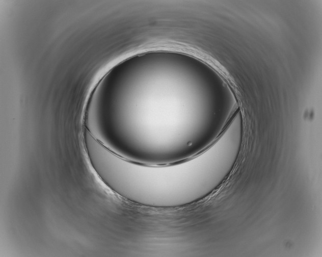 X0000091971536200709131327