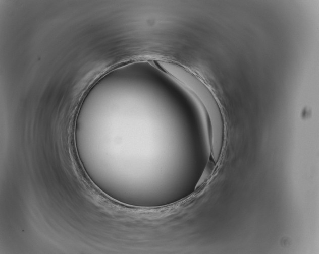 X0000091970001200709201415