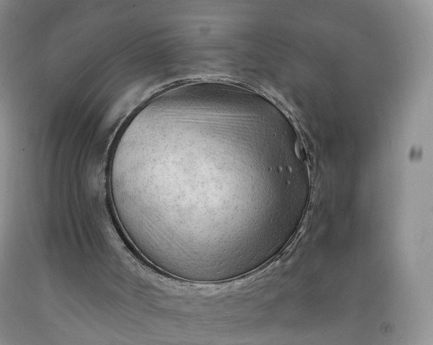 X0000091970002200709201415