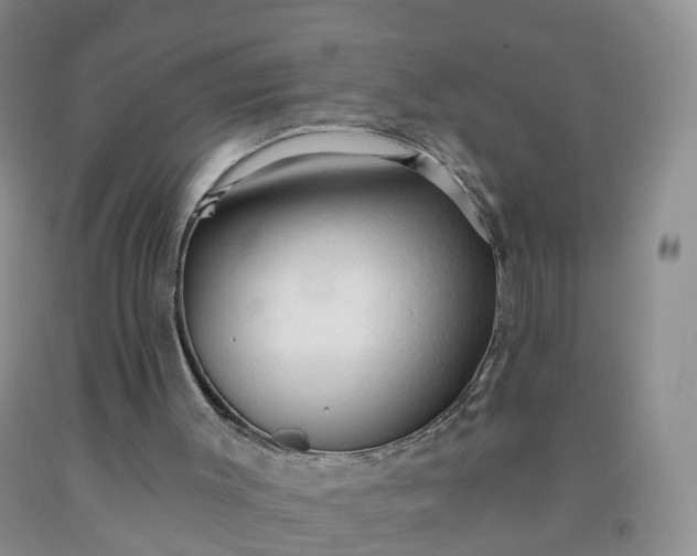 X0000091970003200709201415