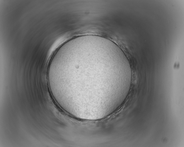 X0000091970004200709201415