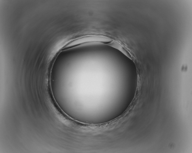 X0000091970005200709201415