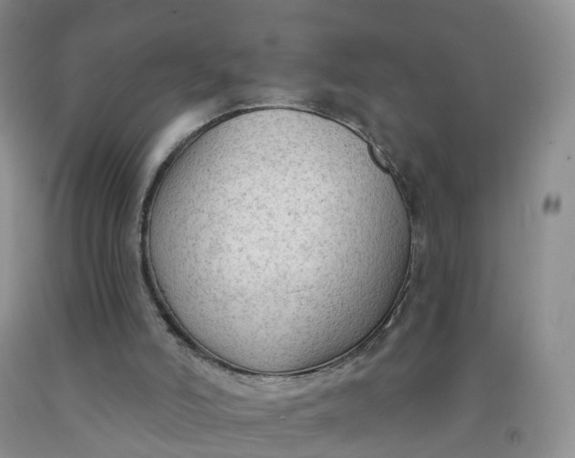 X0000091970006200709201415