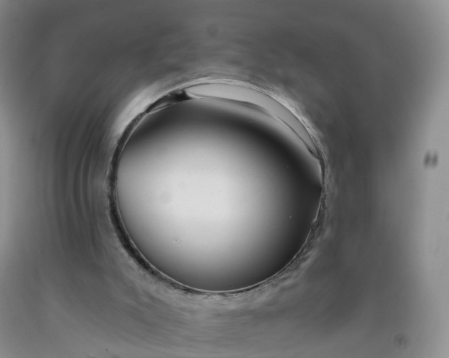 X0000091970007200709201415