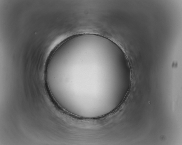 X0000091970008200709201415