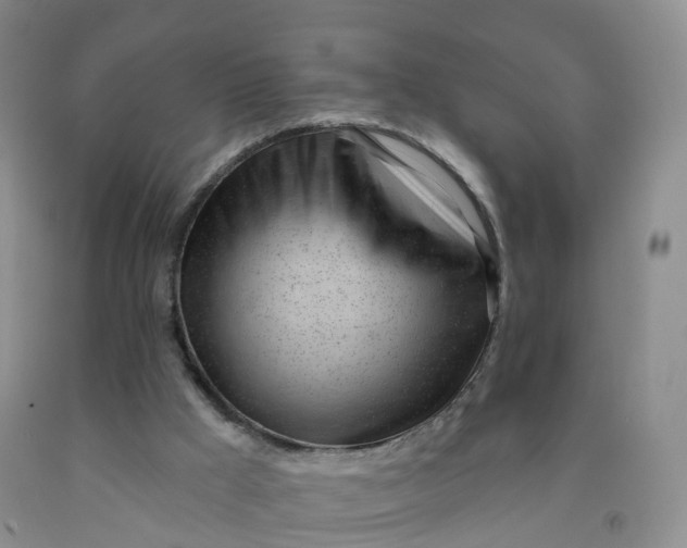 X0000091970009200709201415