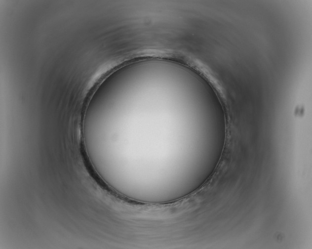 X0000091970011200709201415