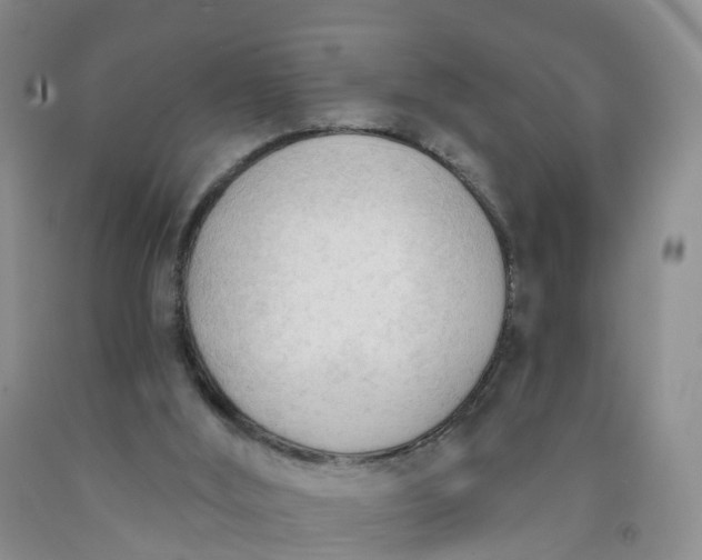 X0000091970012200709201415