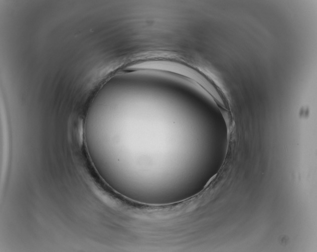 X0000091970013200709201415