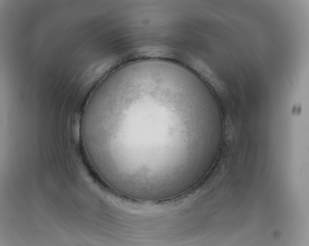 X0000091970014200709201415