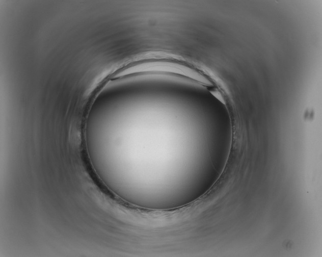 X0000091970015200709201415