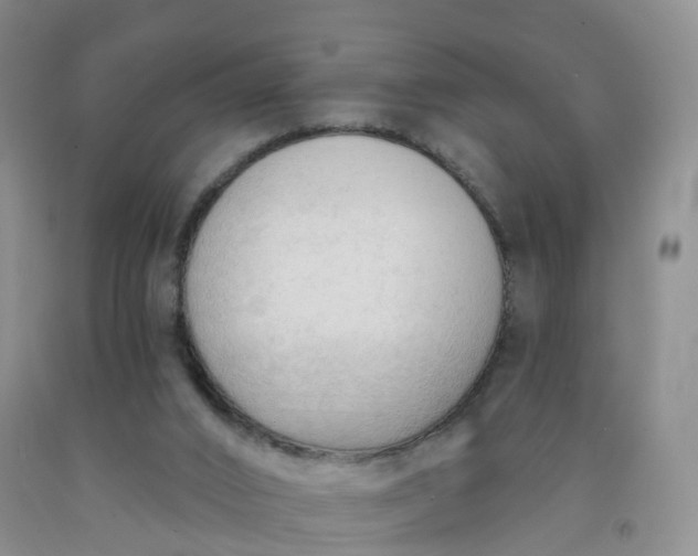 X0000091970016200709201415