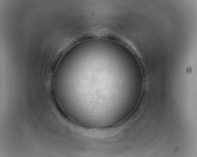 X0000091970018200709201415
