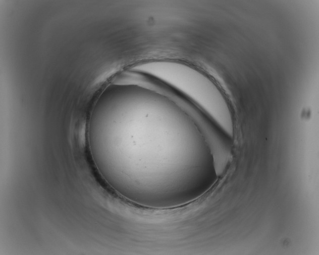X0000091970019200709201415