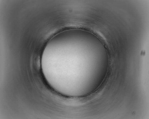 X0000091970020200709201415