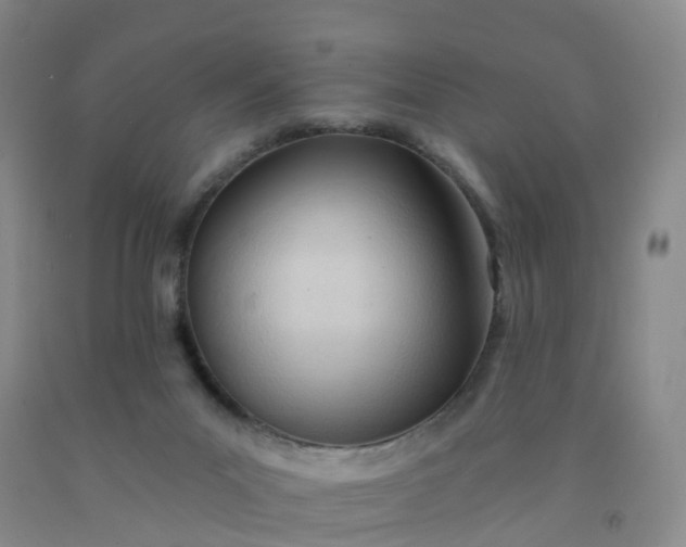 X0000091970023200709201415