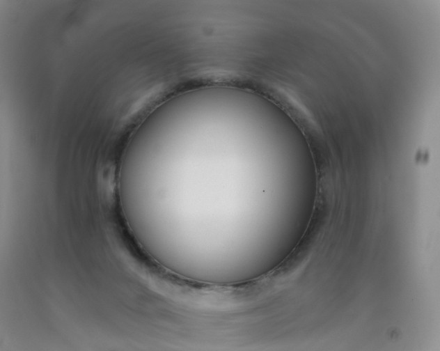 X0000091970024200709201415