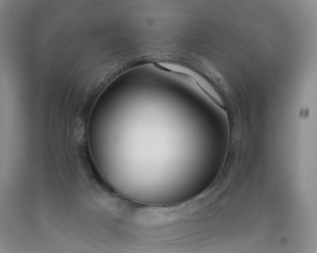 X0000091970025200709201415