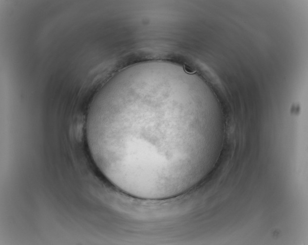 X0000091970026200709201415