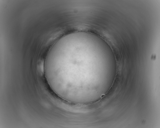 X0000091970028200709201415